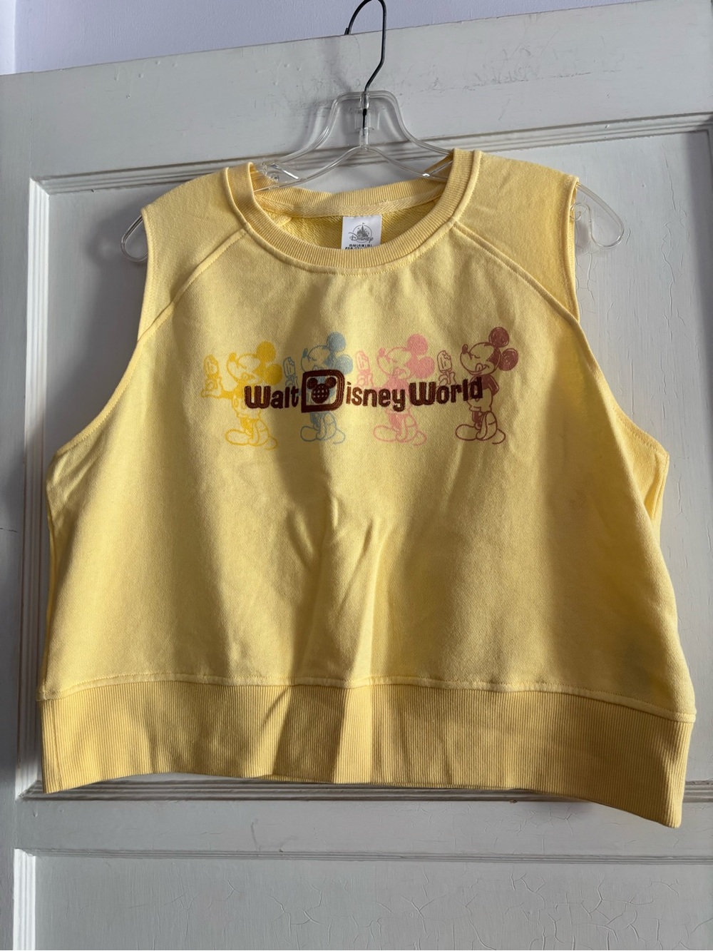 Disney Parks Walt Disney World cropped top Large NWOT